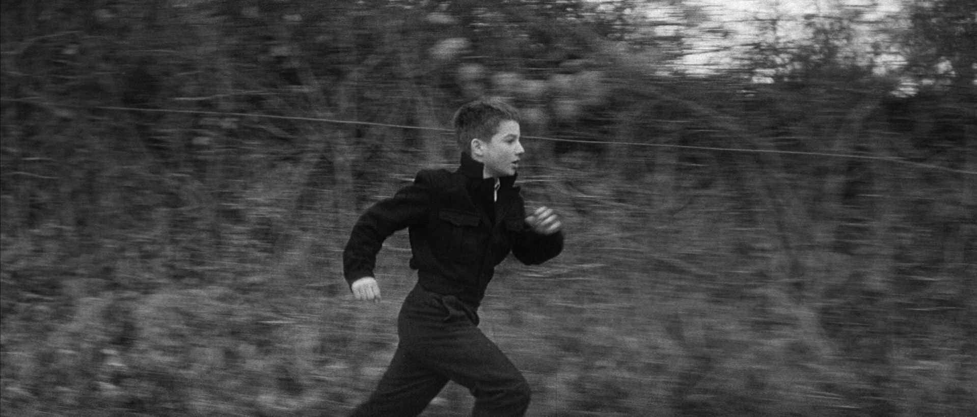 The 400 Blows